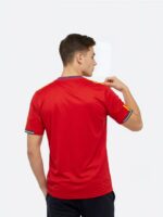 Spain 2010 Retro Jersey – Iconic Ultimate World Cup Home Kit for True Fans - Image 2